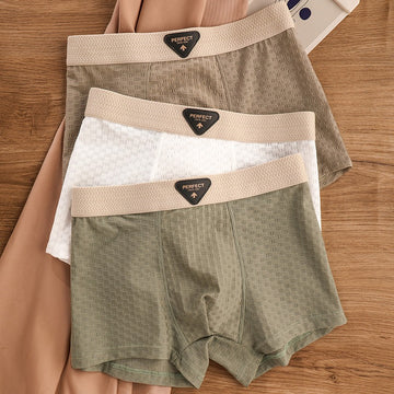 Breathable Antibacterial Ice Silk Underwear (set of 04)